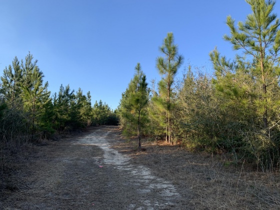 Milton, Florida 32570, ,Land,For Sale,Munson Hwy,866495