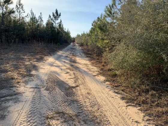 Milton, Florida 32570, ,Land,For Sale,Munson Hwy,866495