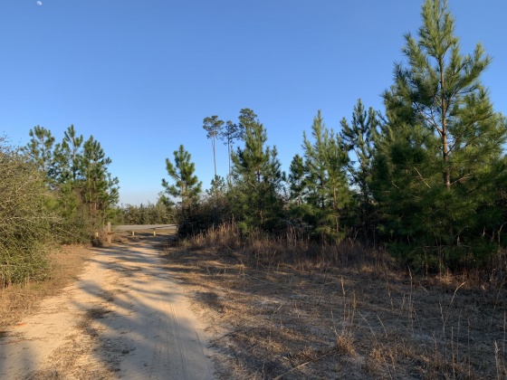 Milton, Florida 32570, ,Land,For Sale,Munson Hwy,866495