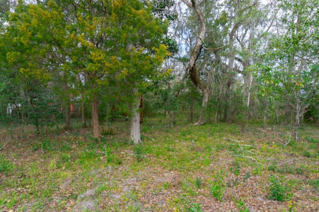 Santa Rosa Beach, Florida 32459, ,Land,For Sale,Rearden,866479
