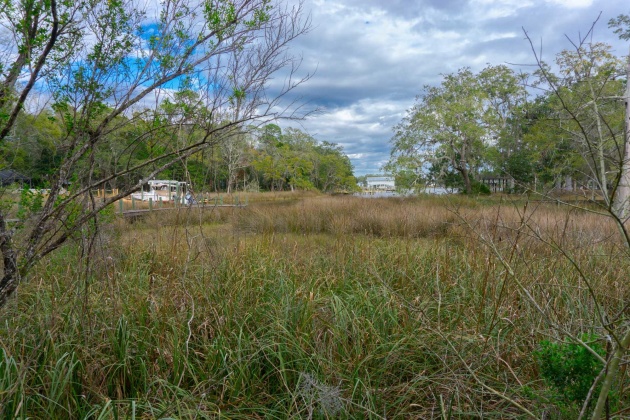 Santa Rosa Beach, Florida 32459, ,Land,For Sale,Rearden,866479