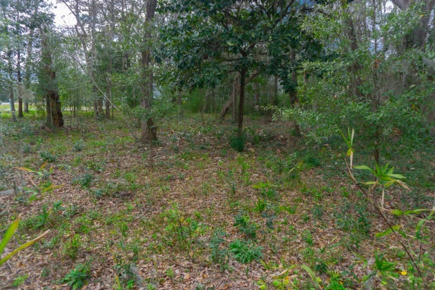 Santa Rosa Beach, Florida 32459, ,Land,For Sale,Rearden,866479