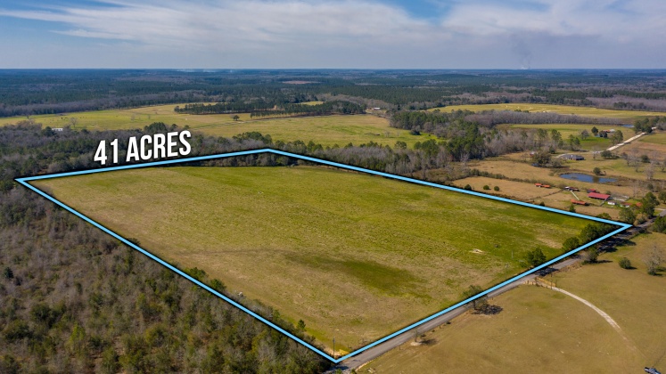 Defuniak Springs, Florida 32433, ,Land,For Sale,PEN WILLIAMS ROAD,866532