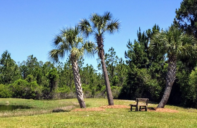 Freeport, Florida 32439, 4 Bedrooms Bedrooms, ,3 BathroomsBathrooms,Residential,For Sale,Sunset Harbour,865363