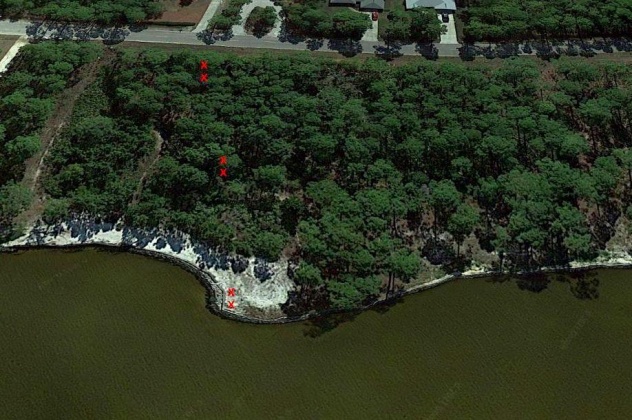 Santa Rosa Beach, Florida 32459, ,Land,For Sale,Driftwood Point Road,866560