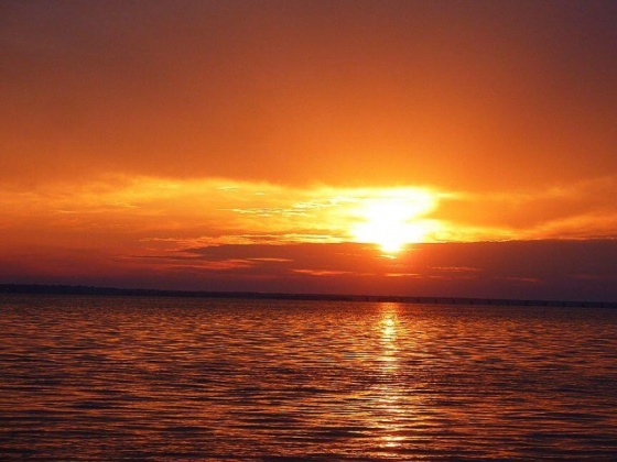 Santa Rosa Beach, Florida 32459, ,Land,For Sale,Driftwood Point Road,866560