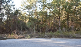 Defuniak Springs, Florida 32435, ,Land,For Sale,Pleasant,866622
