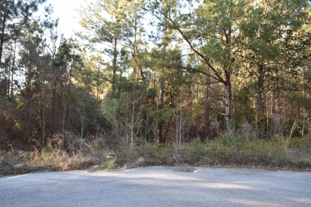 Defuniak Springs, Florida 32435, ,Land,For Sale,Pleasant,866622