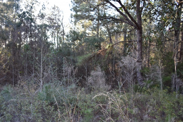Defuniak Springs, Florida 32435, ,Land,For Sale,Pleasant,866622