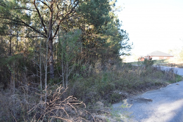 Defuniak Springs, Florida 32435, ,Land,For Sale,Pleasant,866622