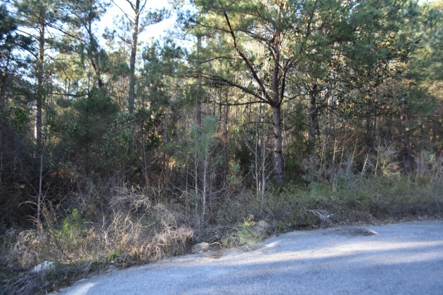 Defuniak Springs, Florida 32435, ,Land,For Sale,Pleasant,866622