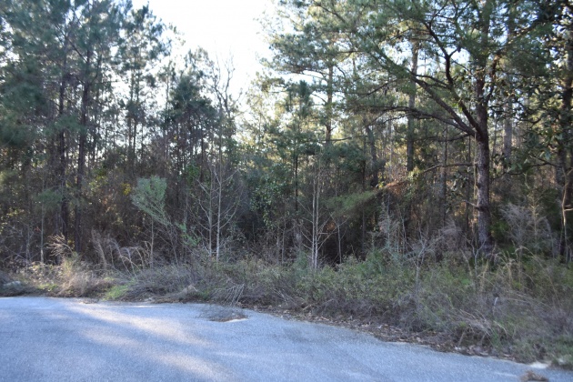 Defuniak Springs, Florida 32435, ,Land,For Sale,Pleasant,866622