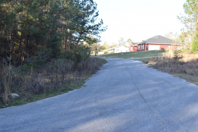 Defuniak Springs, Florida 32435, ,Land,For Sale,Pleasant,866622