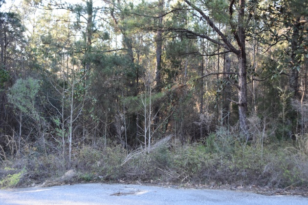 Defuniak Springs, Florida 32435, ,Land,For Sale,Pleasant,866622