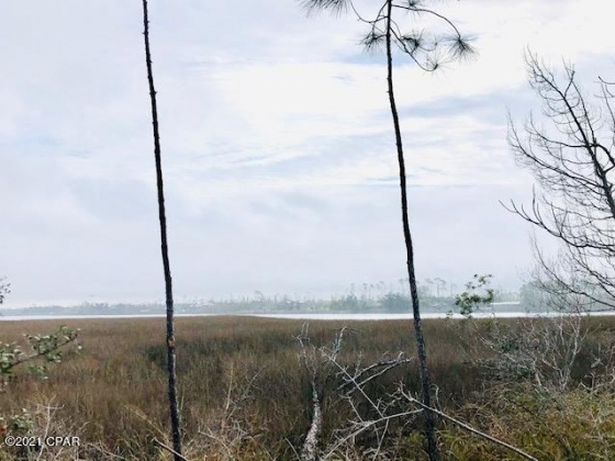 Panama City, Florida 32404, ,Land,For Sale,Island,866736