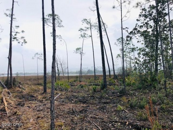 Panama City, Florida 32404, ,Land,For Sale,Island,866736