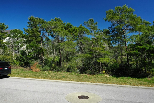 Destin, Florida 32541, ,Land,For Sale,Champion,866855