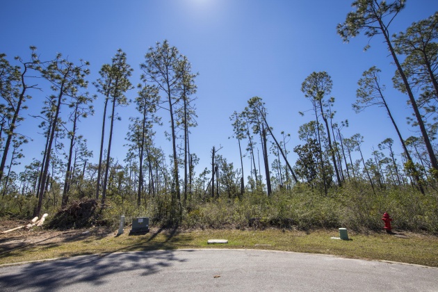 Panama City, Florida 32404, ,Land,For Sale,Buoy,866872
