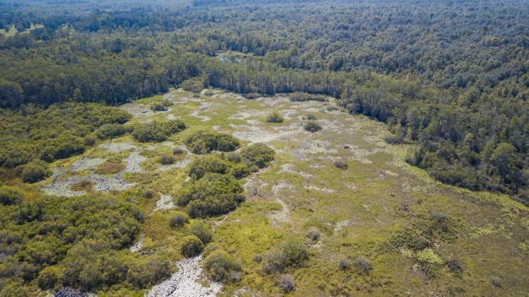 Caryville, Florida 32427, ,Land,For Sale,UNION HILL,866896