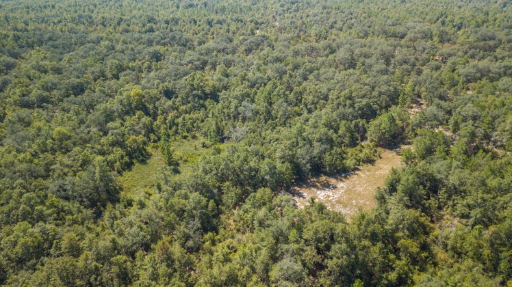 Caryville, Florida 32427, ,Land,For Sale,UNION HILL,866896