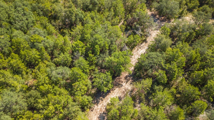 Caryville, Florida 32427, ,Land,For Sale,UNION HILL,866896