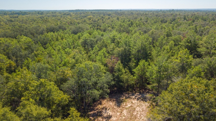 Caryville, Florida 32427, ,Land,For Sale,UNION HILL,866896
