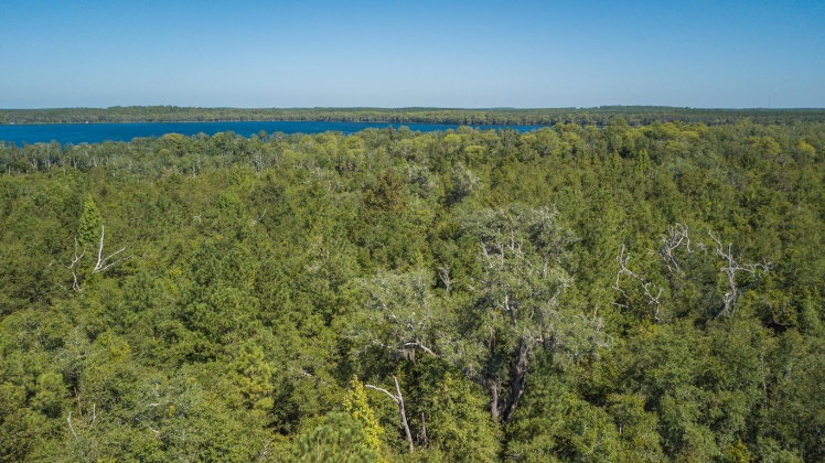 Caryville, Florida 32427, ,Land,For Sale,UNION HILL,866896