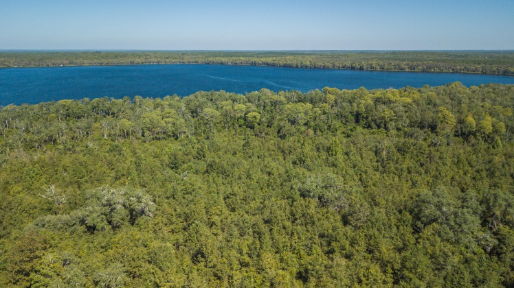 Caryville, Florida 32427, ,Land,For Sale,UNION HILL,866896