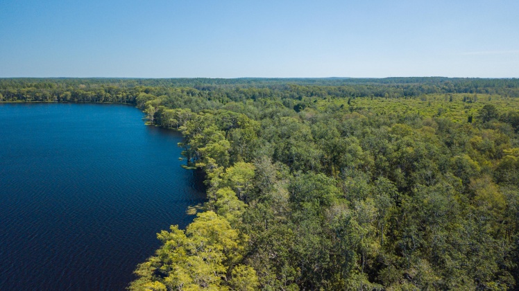 Caryville, Florida 32427, ,Land,For Sale,UNION HILL,866896