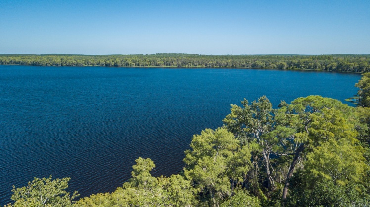 Caryville, Florida 32427, ,Land,For Sale,UNION HILL,866896