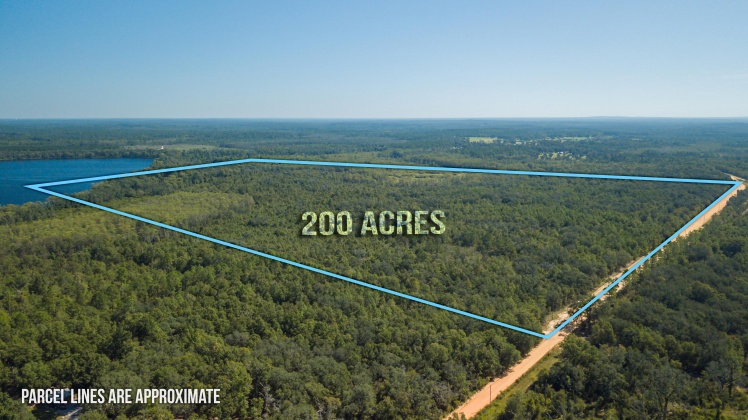 Caryville, Florida 32427, ,Land,For Sale,UNION HILL,866896