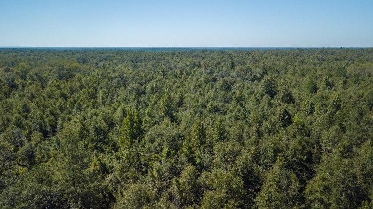 Caryville, Florida 32427, ,Land,For Sale,UNION HILL,866896