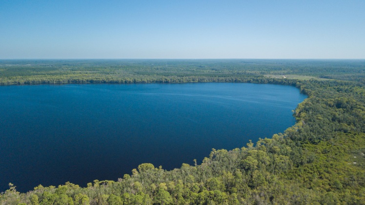 Caryville, Florida 32427, ,Land,For Sale,UNION HILL,866896