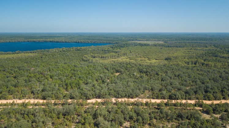Caryville, Florida 32427, ,Land,For Sale,UNION HILL,866896