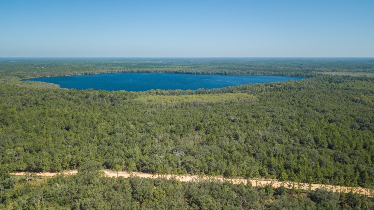 Caryville, Florida 32427, ,Land,For Sale,UNION HILL,866896