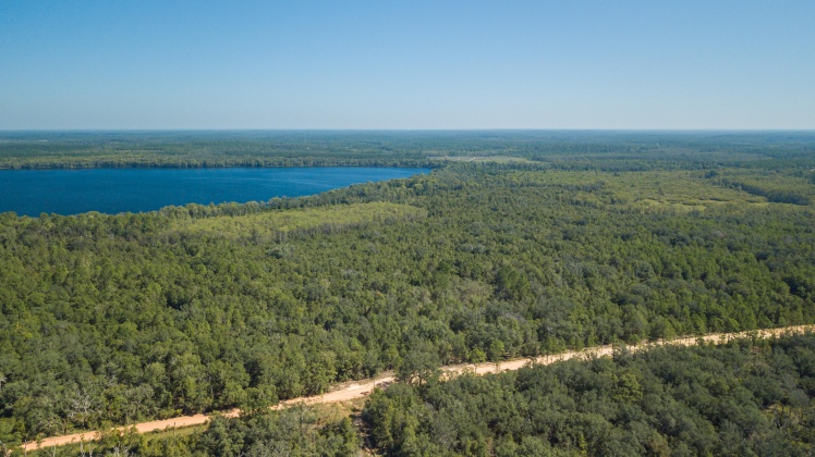 Caryville, Florida 32427, ,Land,For Sale,UNION HILL,866896