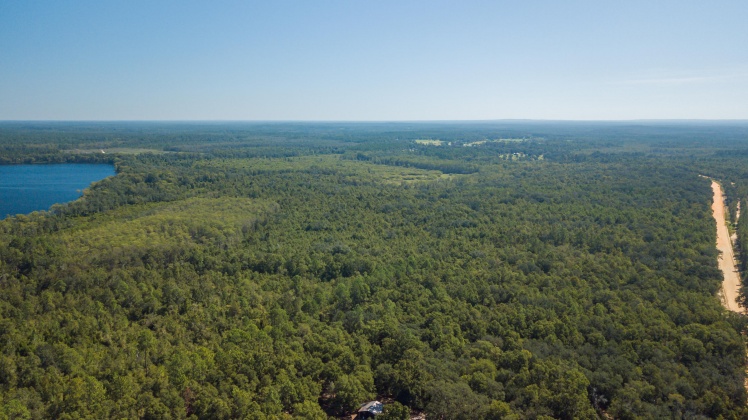 Caryville, Florida 32427, ,Land,For Sale,UNION HILL,866896