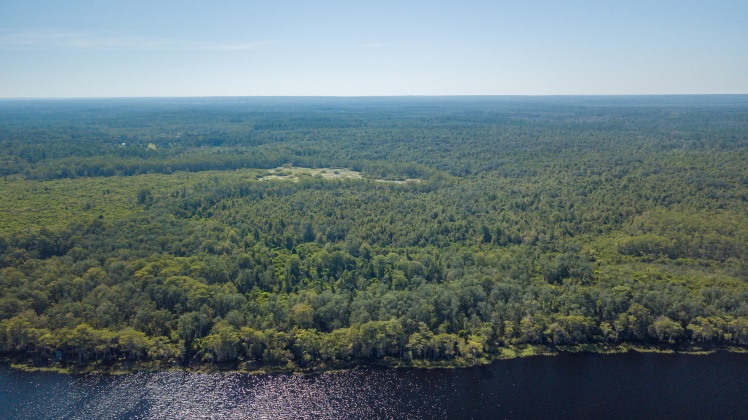 Caryville, Florida 32427, ,Land,For Sale,UNION HILL,866896