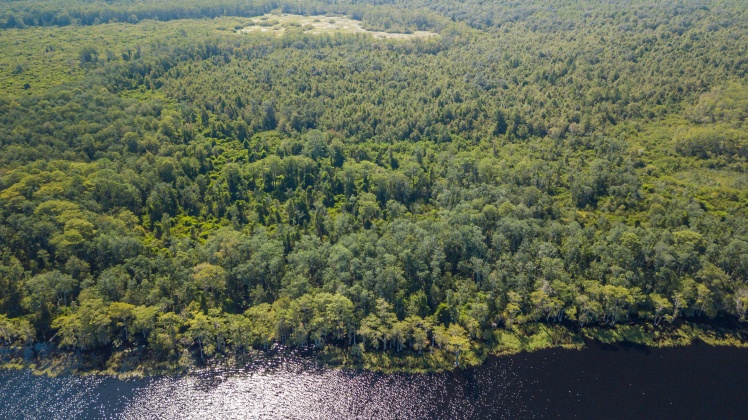 Caryville, Florida 32427, ,Land,For Sale,UNION HILL,866896
