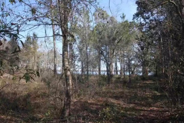 Milton, Florida 32583, ,Land,For Sale,Old Bay Pointe,866904