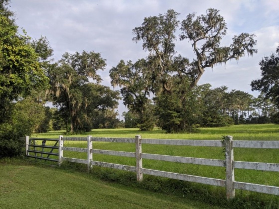 Milton, Florida 32583, ,Land,For Sale,Old Bay Pointe,866904