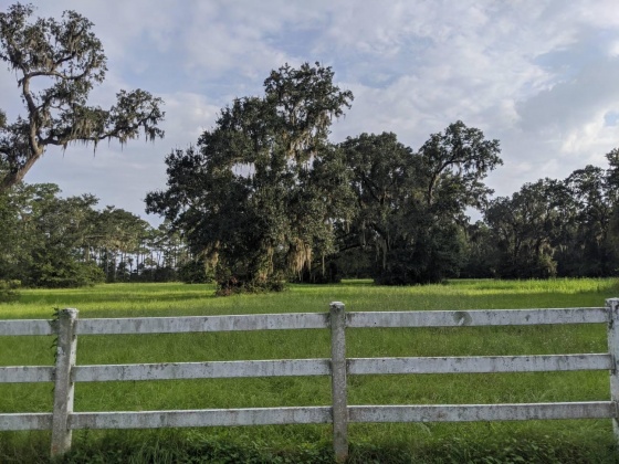 Milton, Florida 32583, ,Land,For Sale,Old Bay Pointe,866904