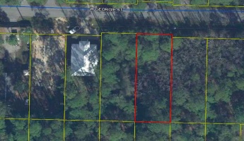 Santa Rosa Beach, Florida 32459, ,Land,For Sale,Georgie,866933