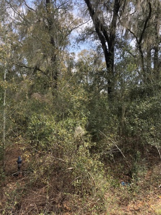 Freeport, Florida 32439, ,Land,For Sale,Justin,867028