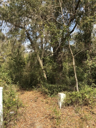 Freeport, Florida 32439, ,Land,For Sale,Justin,867028