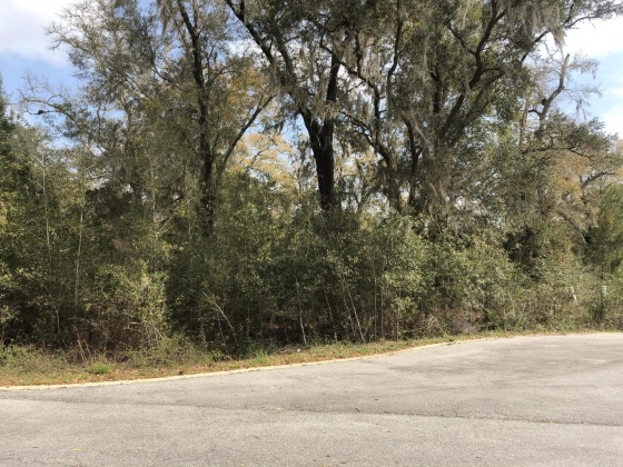 Freeport, Florida 32439, ,Land,For Sale,Justin,867028