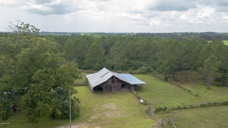 Chipley, Florida 32428, ,Land,For Sale,Buddy,867066