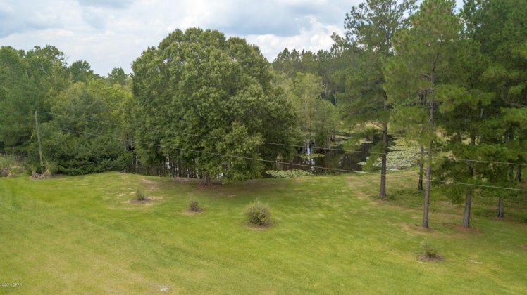 Chipley, Florida 32428, ,Land,For Sale,Buddy,867066