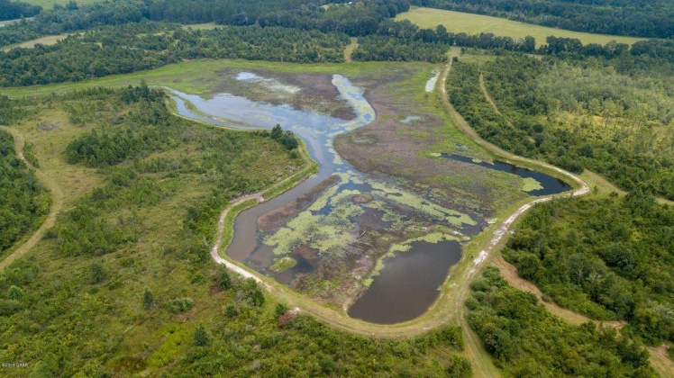 Chipley, Florida 32428, ,Land,For Sale,Buddy,867066