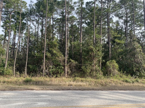 Santa Rosa Beach, Florida 32459, ,Land,For Sale,HWY 393 & Nursery Road,867049